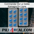 Commander De La Gelée Kamagra En Ligne 23